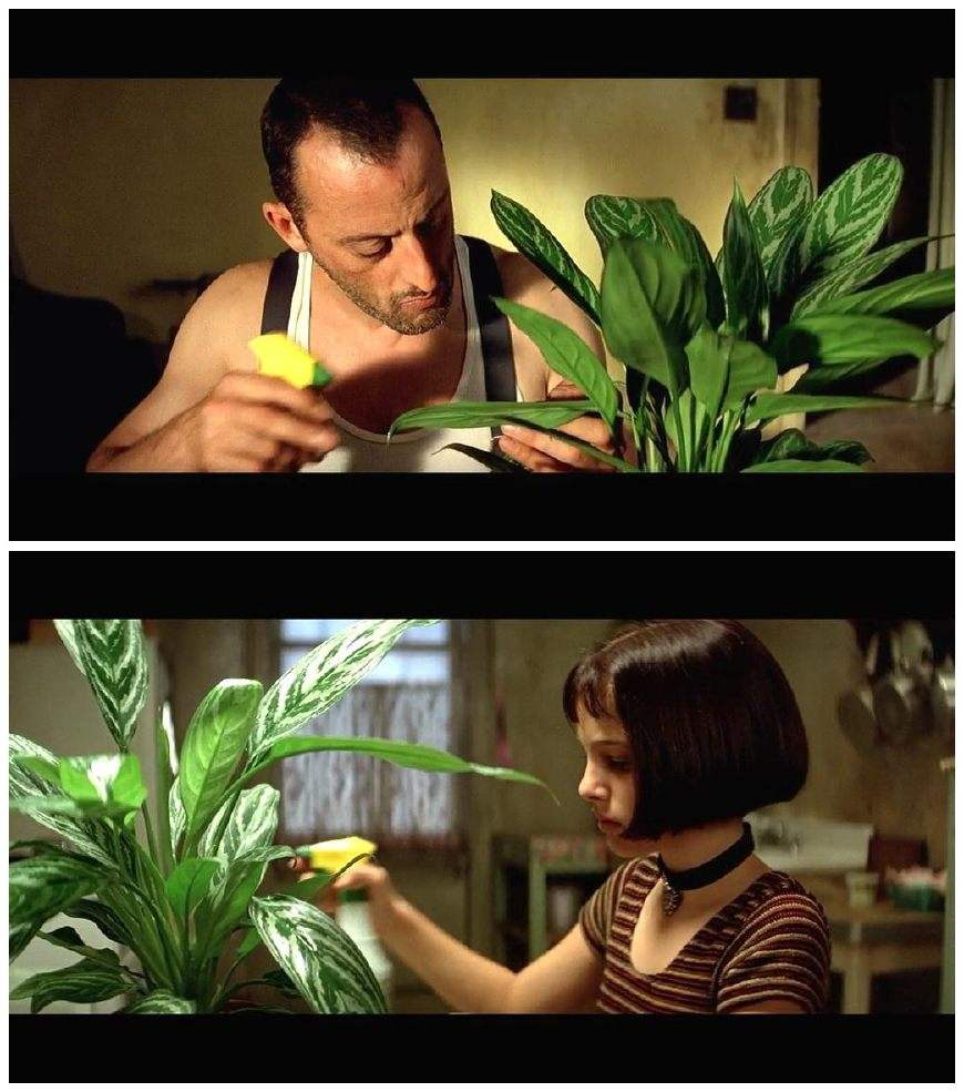 本色表演pk本能表演